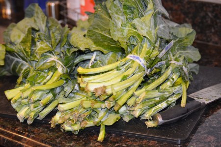 Collard_Stems